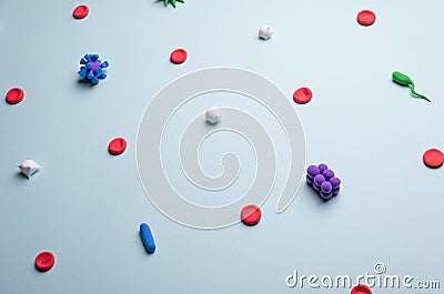 medical flatlay top view elements of blood, bacteria and viruses on a blue background. Blood infection, sepsis Stock Photo