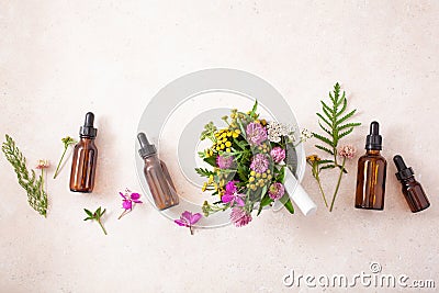 Medical flowers herbs in mortar essential oils in bottles. alternative medicine. clover milfoil tansy rosebay Stock Photo