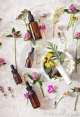 Medical flowers herbs in mortar essential oils in bottles. alternative medicine. clover milfoil tansy rosebay Stock Photo