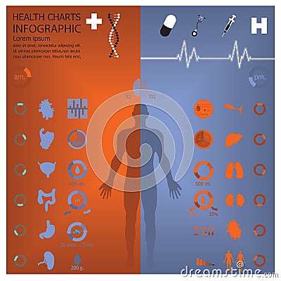 Medical And Health Infographic Infochart Vector Illustration