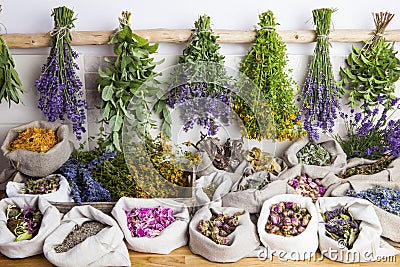 Medical herbs Stock Photo