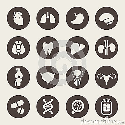 Medical icons. Human organs Vector Illustration