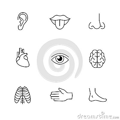 Medical icons thin line art set. Human organs Vector Illustration