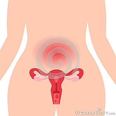 Medical illustration concept of healthy female reproductive system with the uterus and the ovaries. Vector Illustration