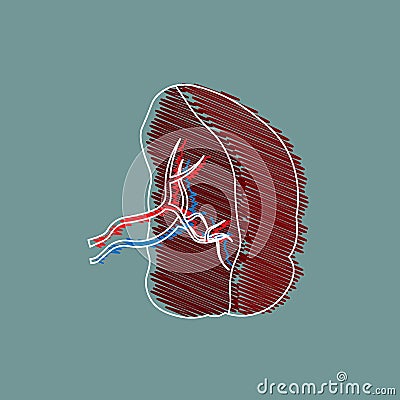 Medical Illustration stylized drawing . Cartoon Illustration of a Spleen. Human Internal Organs Stock Photo