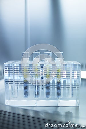 Medical laboratory test tubes PRP platelet rich plasma Stock Photo