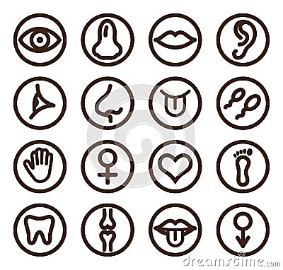 Medical line icon set for web and mobile Vector Illustration