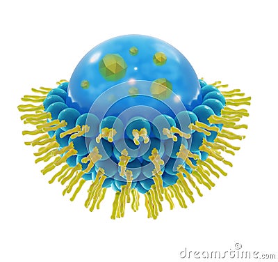 Liposome structure cell 3D rendering Stock Photo