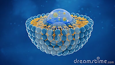 Liposome structure cell 3D rendering Stock Photo