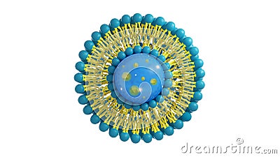 Liposome structure cell 3D rendering Stock Photo