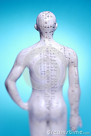 Medical Meridians Acupuncture Points Stock Photo