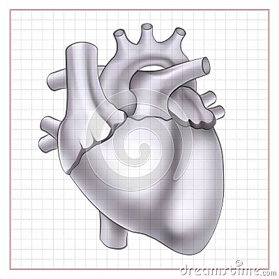 Medical Organ Template Vector Illustration