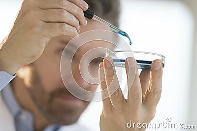 Medical Professional Carrying Out Test In Laboratory Stock Photo
