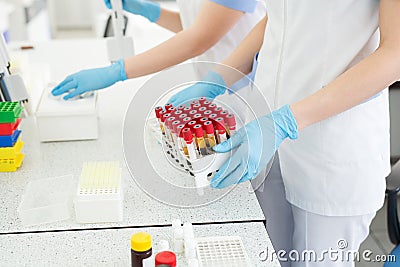 Medical and science background. Hands of laboratory assistants holding rack of sample tubes for blood test analysis Stock Photo