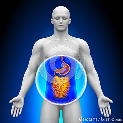 Medical X-Ray Scan - Guts Stock Photo