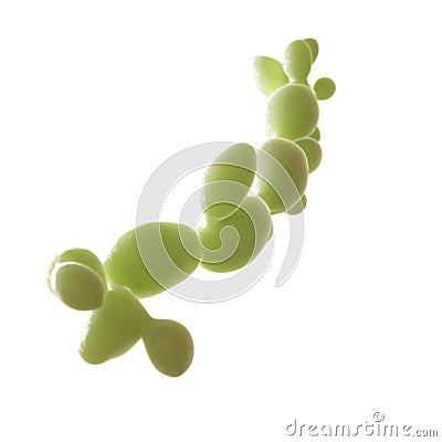 Candida fungus Stock Photo