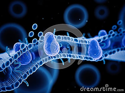 A cell membrane Stock Photo