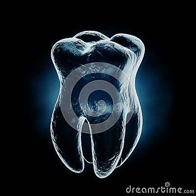 Medically Accurate Healthy Tooth X-Ray View. 3d Rendering Stock Photo