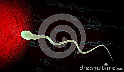 Medically accurate illustration of human sperms and egg Cartoon Illustration