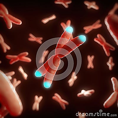 the telomeres Cartoon Illustration