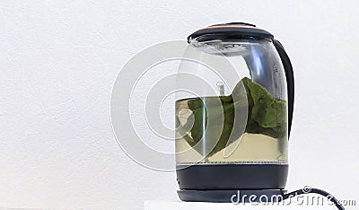 Medicinal herb plantain is brewed in a teapot with a copy of the space Stock Photo