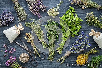 Medicinal herbs bunches, sachet and scissors. Stock Photo