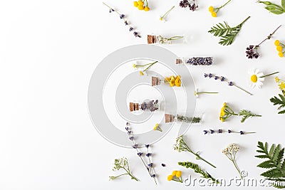 Medicinal herbs and flowers, glass bottles with cor Stock Photo