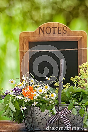 Medicinal herbs, Healing plants Stock Photo