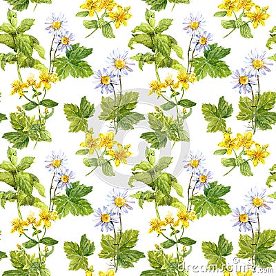 Medicinal herbs, medical flowers . Herbal, floral repeating pattern. Watercolor Stock Photo