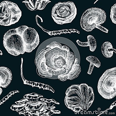 Medicinal mushroom seamless pattern. Medicinal plants sketches. Hand-drawn vector illustrations. Chinese herbology background. NOT Vector Illustration