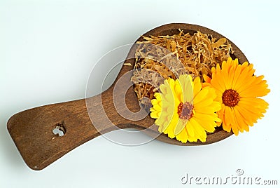 Medicinal plant Calendula officinalis Stock Photo