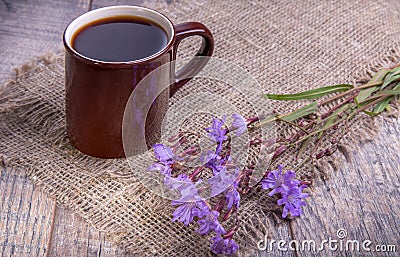 Medicinal plant chicory: flowers. The roots of the plants are used as a substitute for coffee. Drink from chicory in a Stock Photo