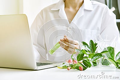 Medicinal plant research, Scientist studying organic herbal for new drug medicine. Stock Photo