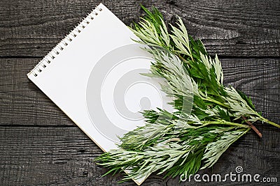 Medicinal plant wormwood Artemisia absinthium and notebook Stock Photo