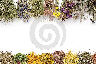 Medicinal plants bunches and piles of medicinal herbs on white background. Top view. Alternative medicine. Copy space Stock Photo