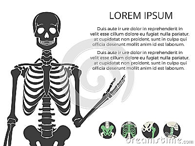 Medicinal poster or banner with human skeletone and bones Vector Illustration