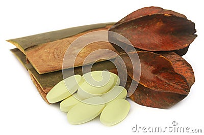 Medicinal Terminalia arjuna with pills Stock Photo