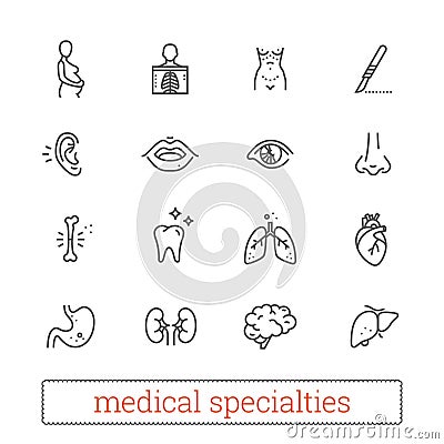 Medicine specialties thin line icons: diagnosis, medical, surgical. Human body systems, internal and sensory organs. Vector Illustration