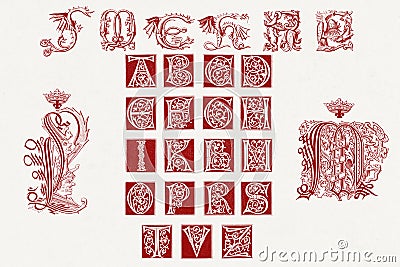 Medieval Alphabet. Decorative initial designs Cartoon Illustration