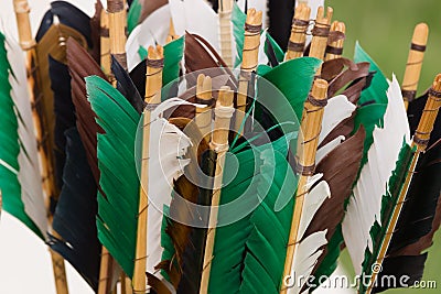 Medieval Arrow Fletchings Stock Photo