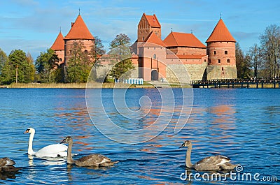 Medieval castle of Trakai, Vilnius, Lithuania, with family of swans Stock Photo