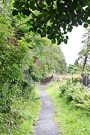 Medieval County Graveyard, Glendalough, county Wicklow, Ireland Stock Photo