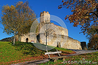 Medieval fortress called `Burg Steinsberg` in suburb of city Sinsheim in Germany Stock Photo