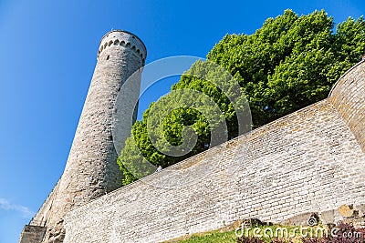 Medieval Toompea in Tallinn Stock Photo