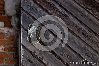 Medieval wooden door with lion handle Stock Photo