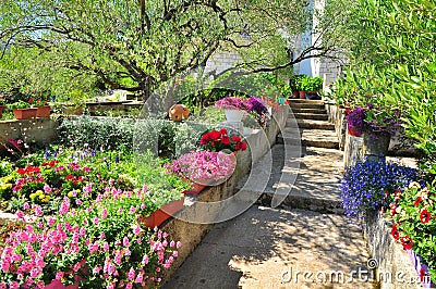 Mediterranean garden Stock Photo