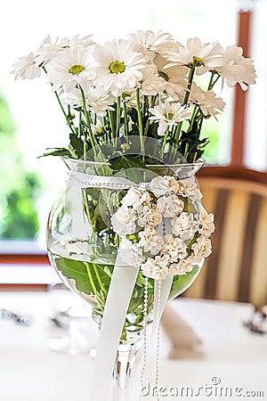 Mediterranean interior - ox-eye daisy Stock Photo