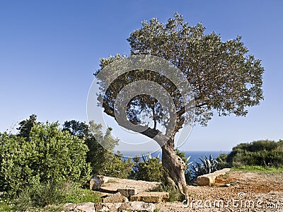 Mediterranean Landscape Stock Photo