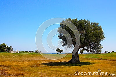 Mediterranean landscape Stock Photo