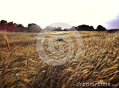 Mediterranean landscape Stock Photo